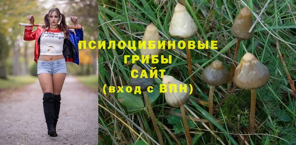 спайс Алексеевка
