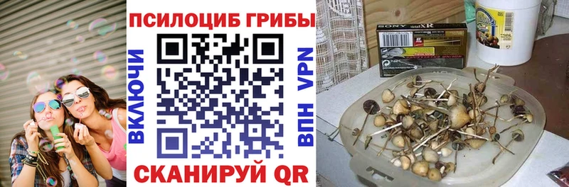 mega Арамиль Галлюциногенные грибы мухоморы